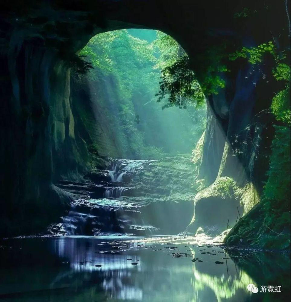 救援呆萌的猫