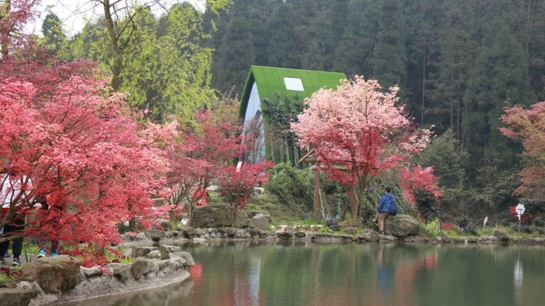 ​【新春走基层】​连城：营造春节氛围 增添浓浓年味
