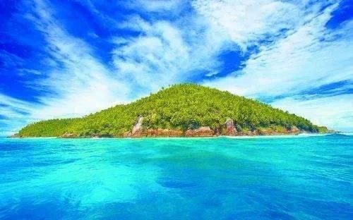 虫虫助手下载
