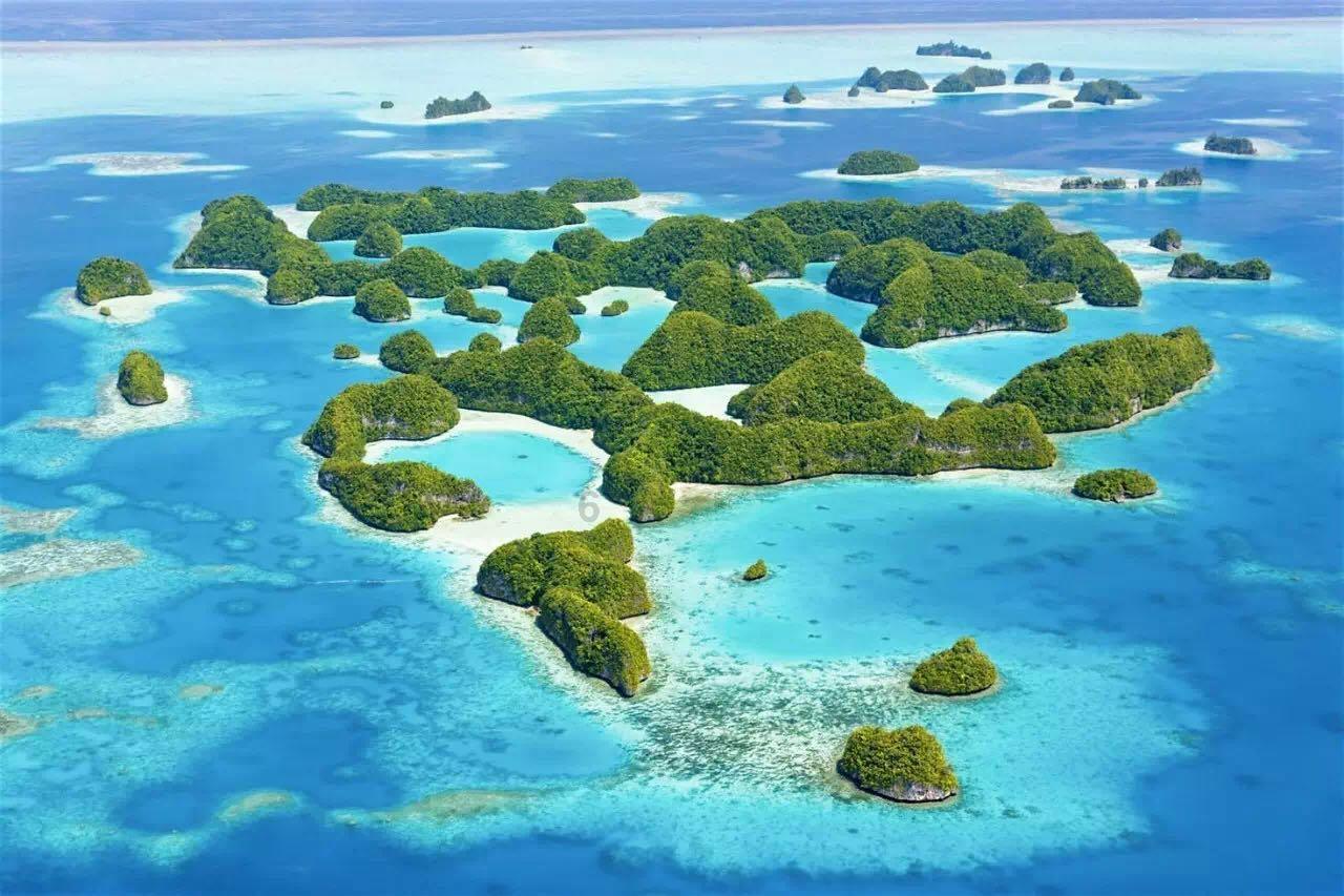 逗小猴开心系列206