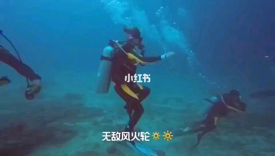 进击的城堡