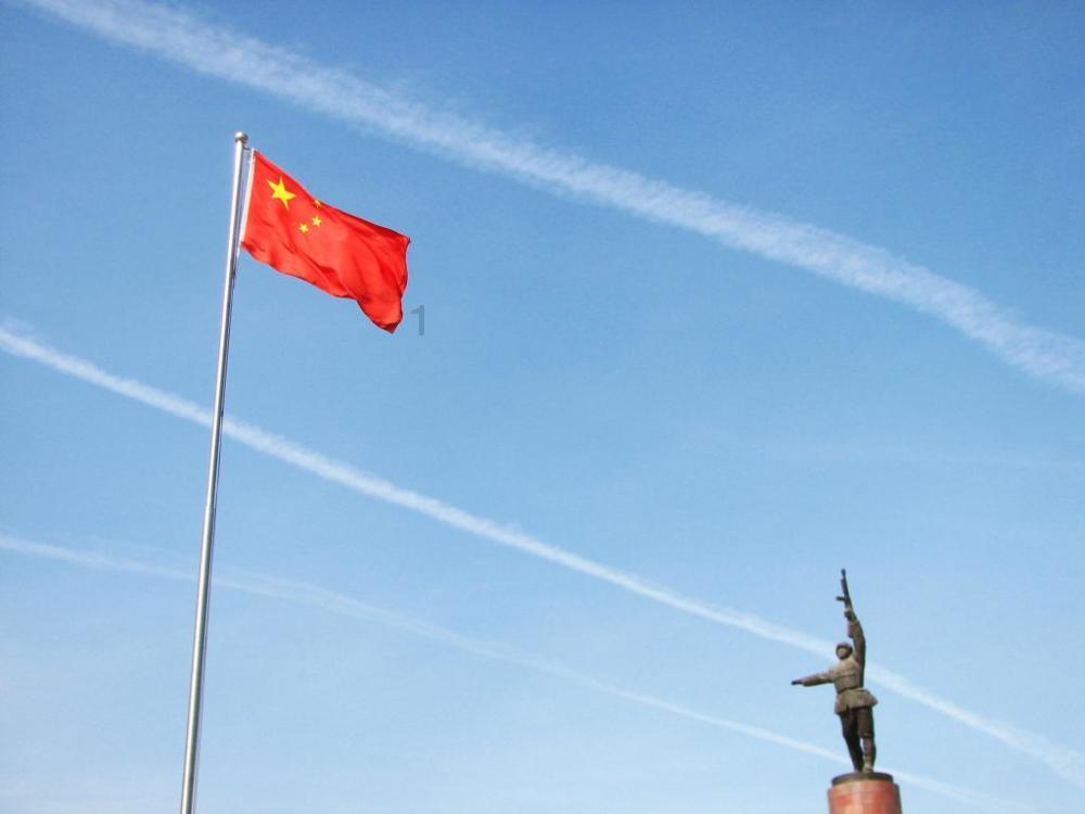 可爱啄木鸟逃脱