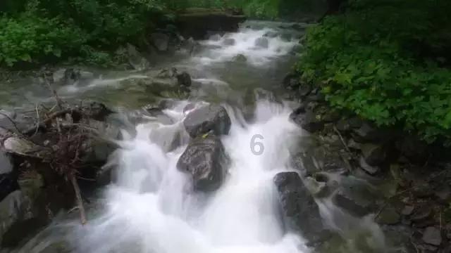 信心之火|专访张军:经济恢复,政府要帮助中小微恢复元气