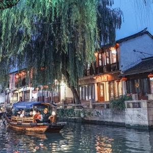 逃离仿真森林